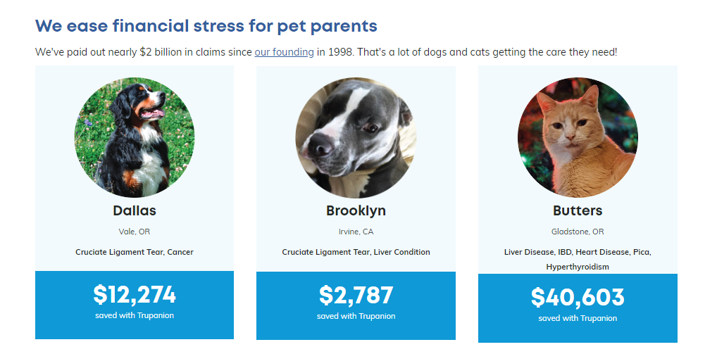 Insurance trupanion dog Insurance trupanion dog